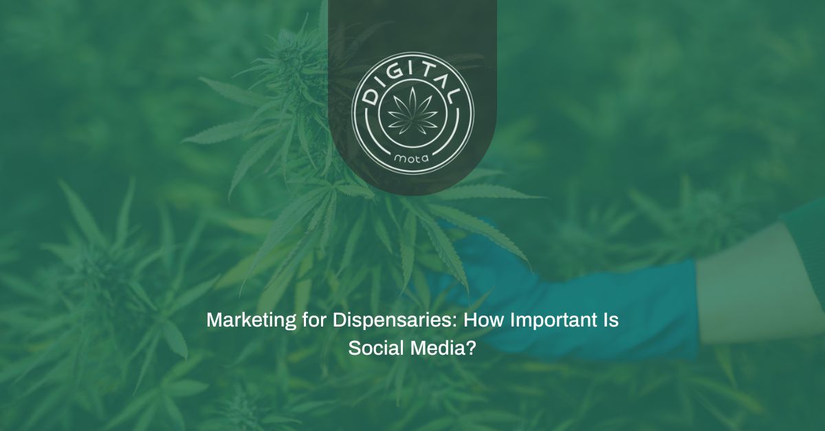 Marketing for Dispensaries: How Important Is Social Media?