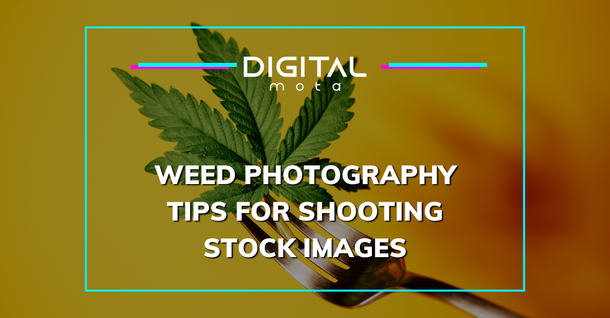 Weed Photography