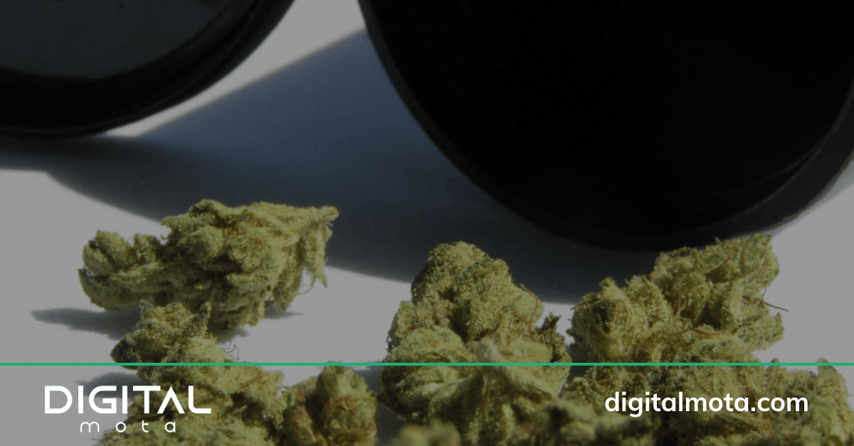 THC Digital Marketing