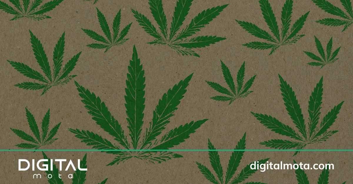 Cannabis Digital Marketing