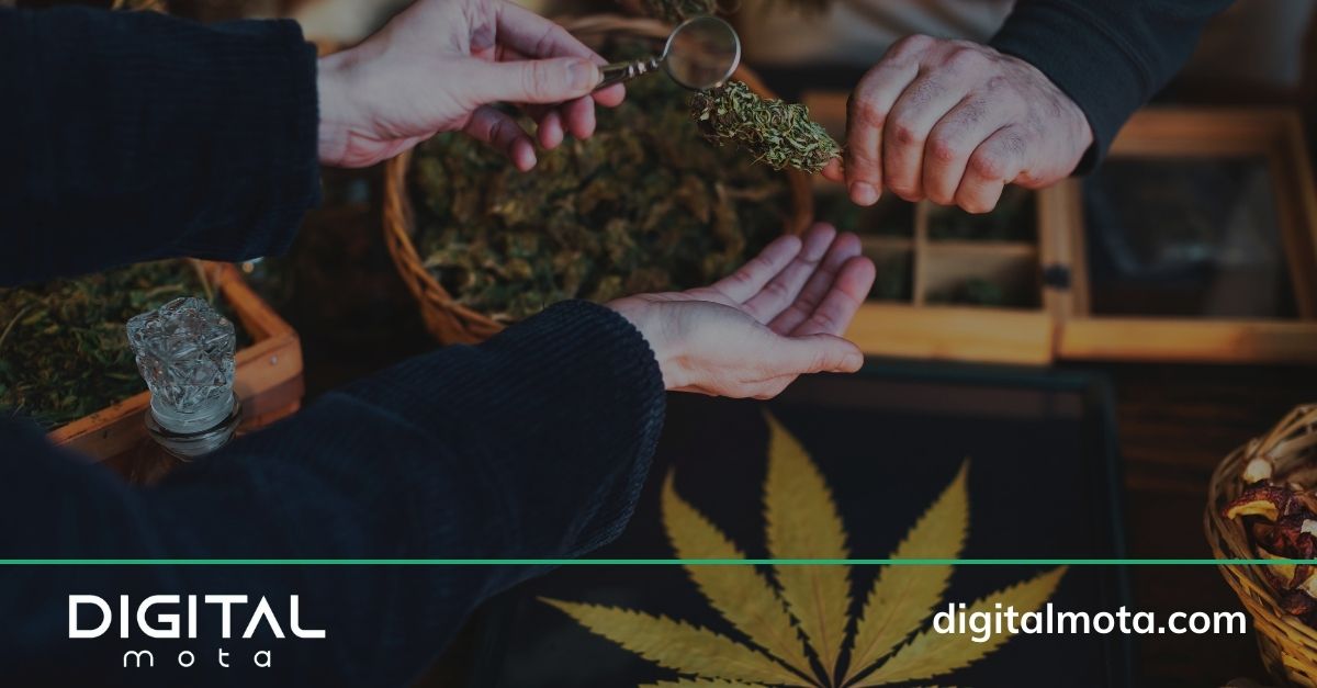 digital marketing cannabis