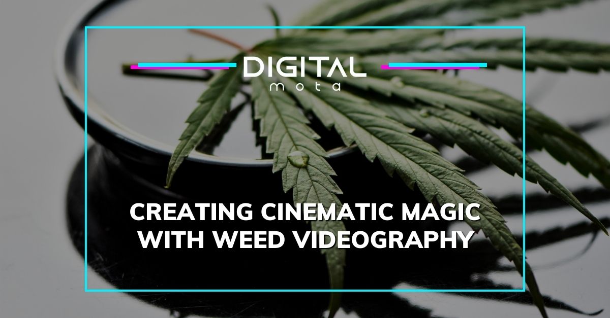 weed videography